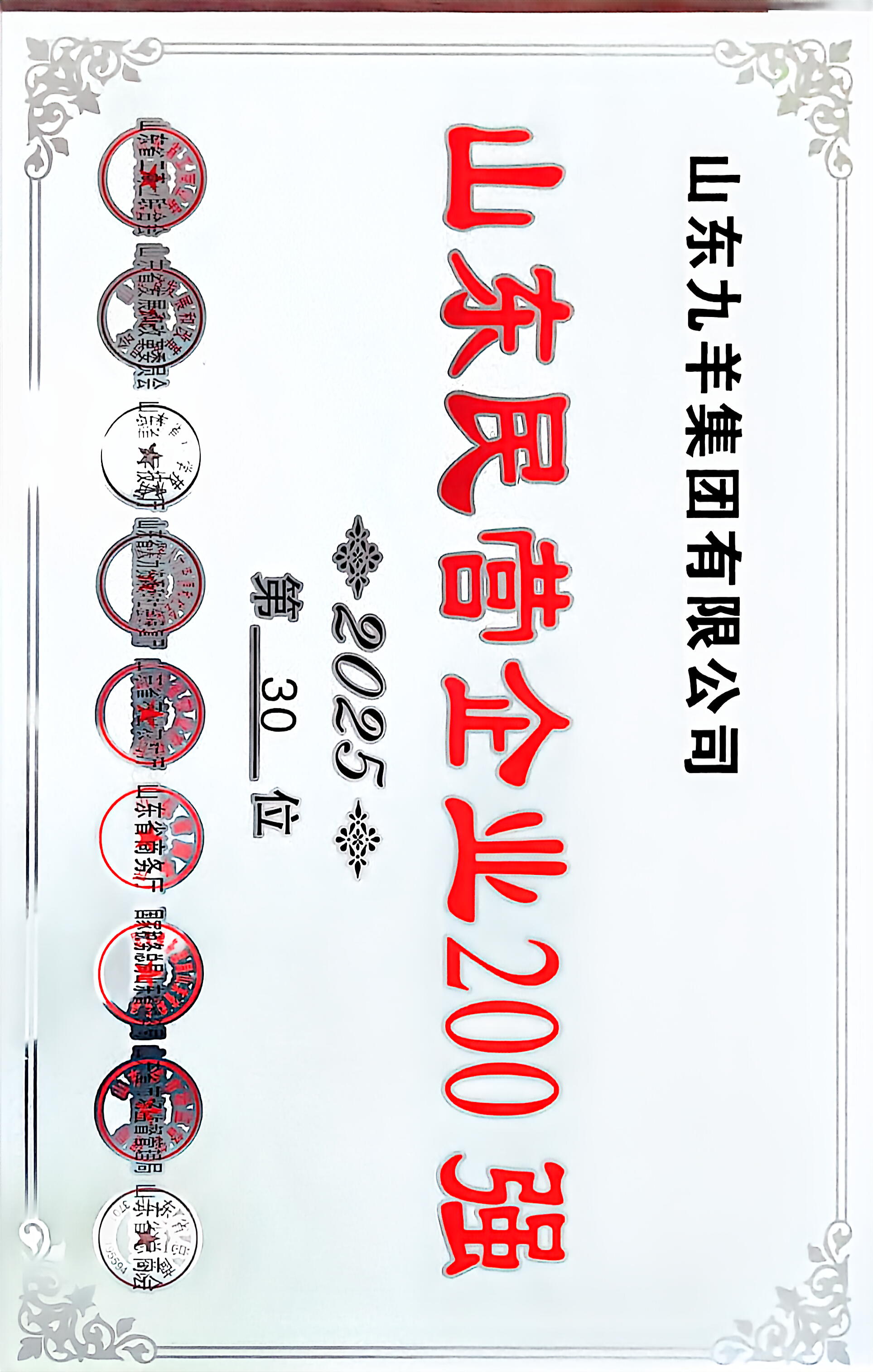 山東九羊集團(tuán)有限公司2025年度山東民營企業(yè)200強(qiáng) 第30名